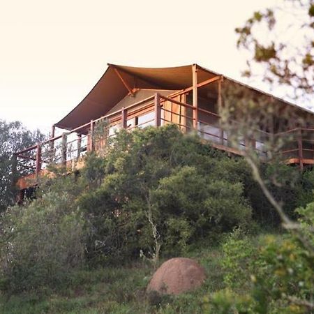 Addo Elephant Lodge & Safaris Kirkwood Ngoại thất bức ảnh