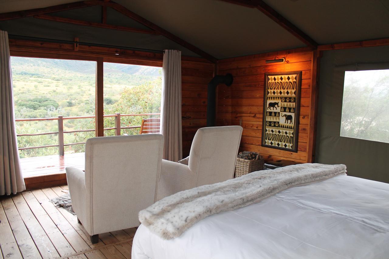 Addo Elephant Lodge & Safaris Kirkwood Ngoại thất bức ảnh