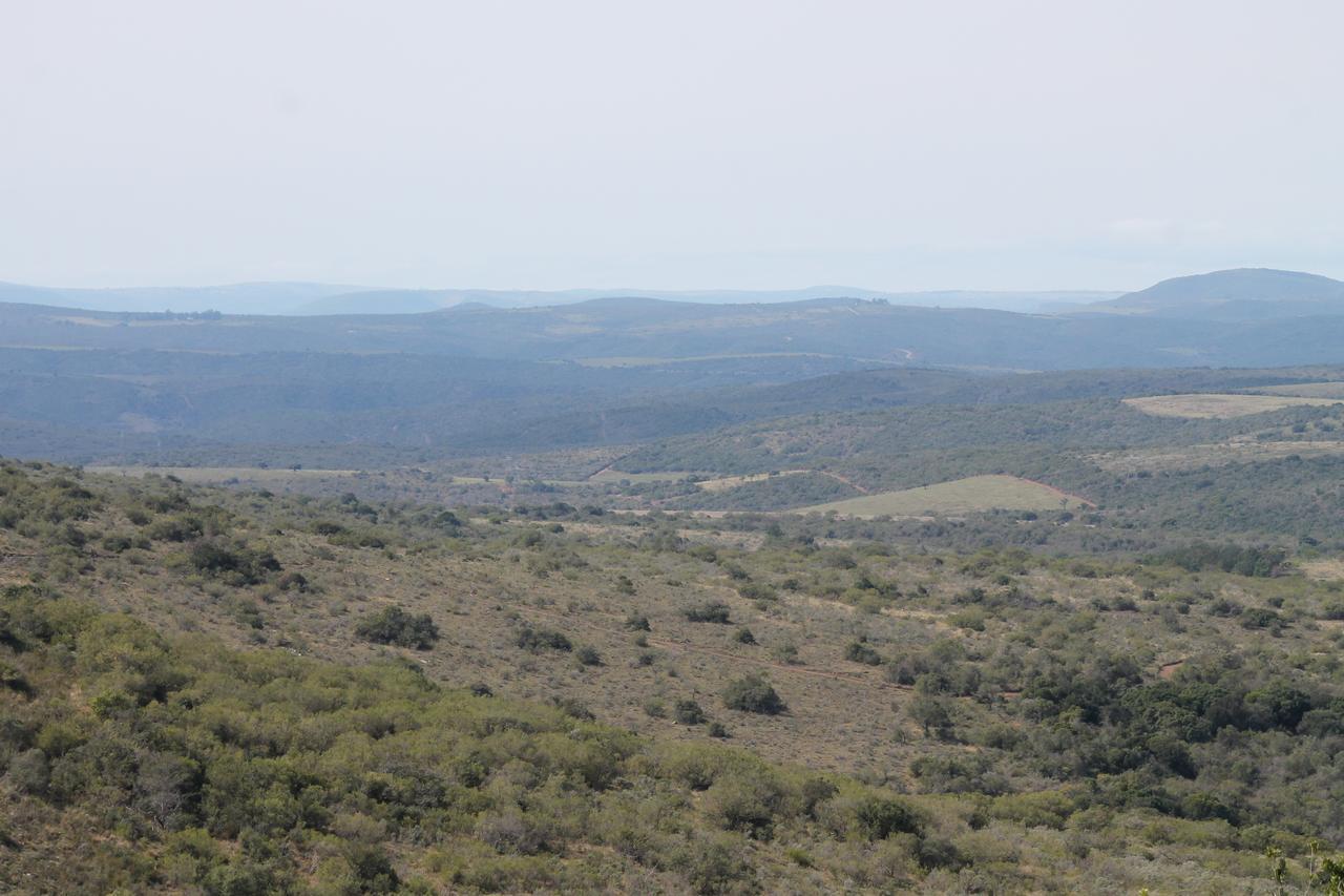 Addo Elephant Lodge & Safaris Kirkwood Ngoại thất bức ảnh