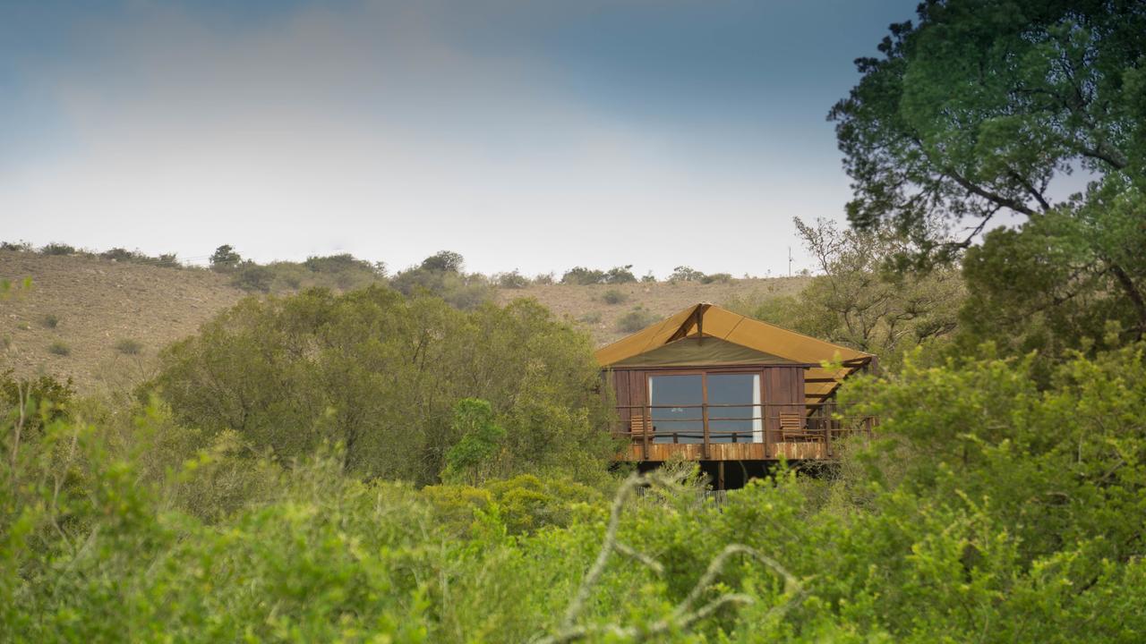 Addo Elephant Lodge & Safaris Kirkwood Ngoại thất bức ảnh
