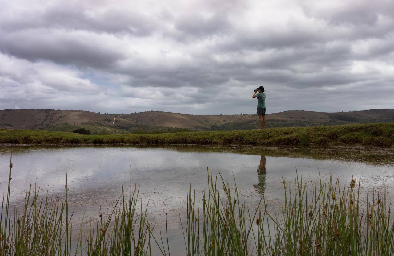 Addo Elephant Lodge & Safaris Kirkwood Ngoại thất bức ảnh
