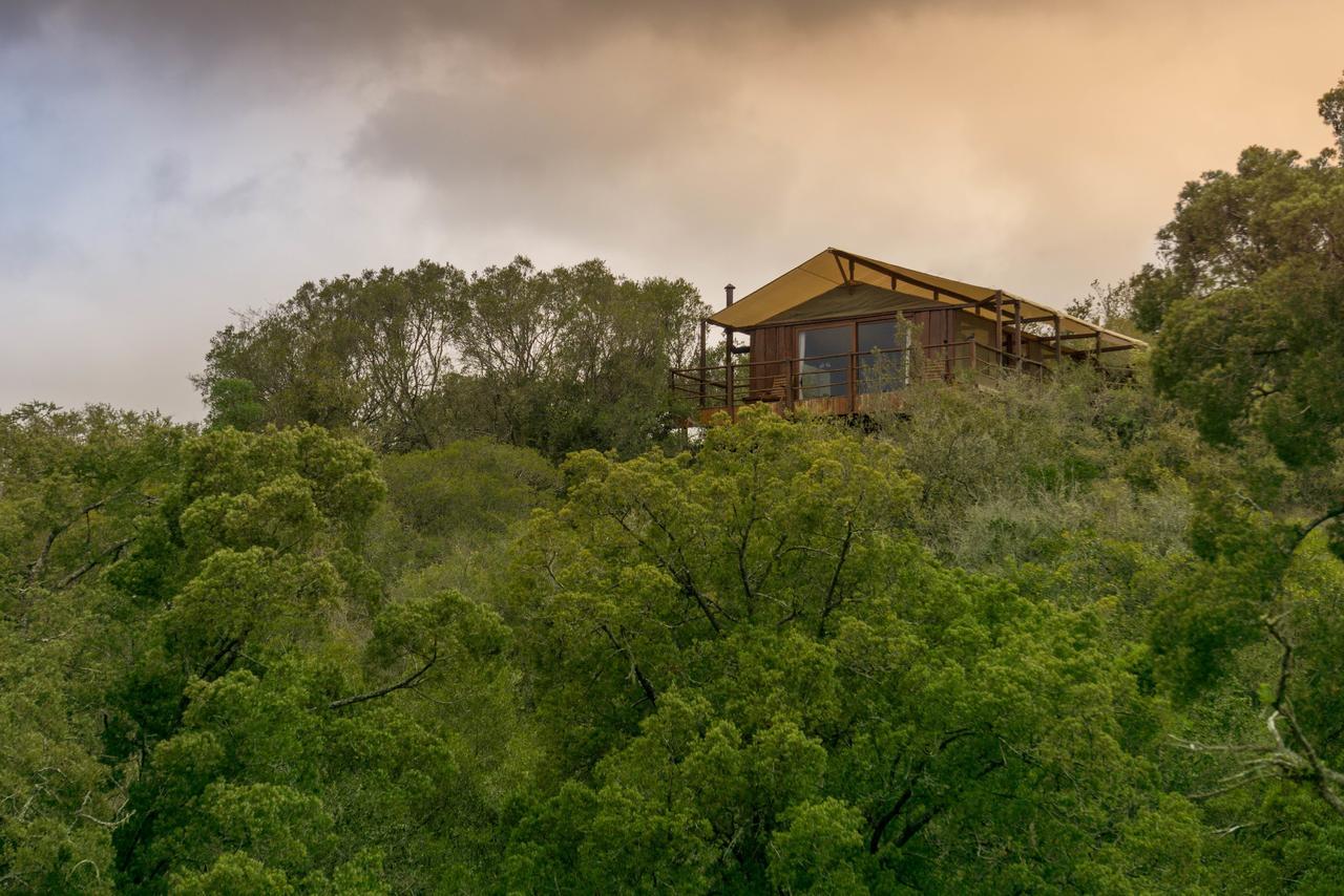 Addo Elephant Lodge & Safaris Kirkwood Ngoại thất bức ảnh