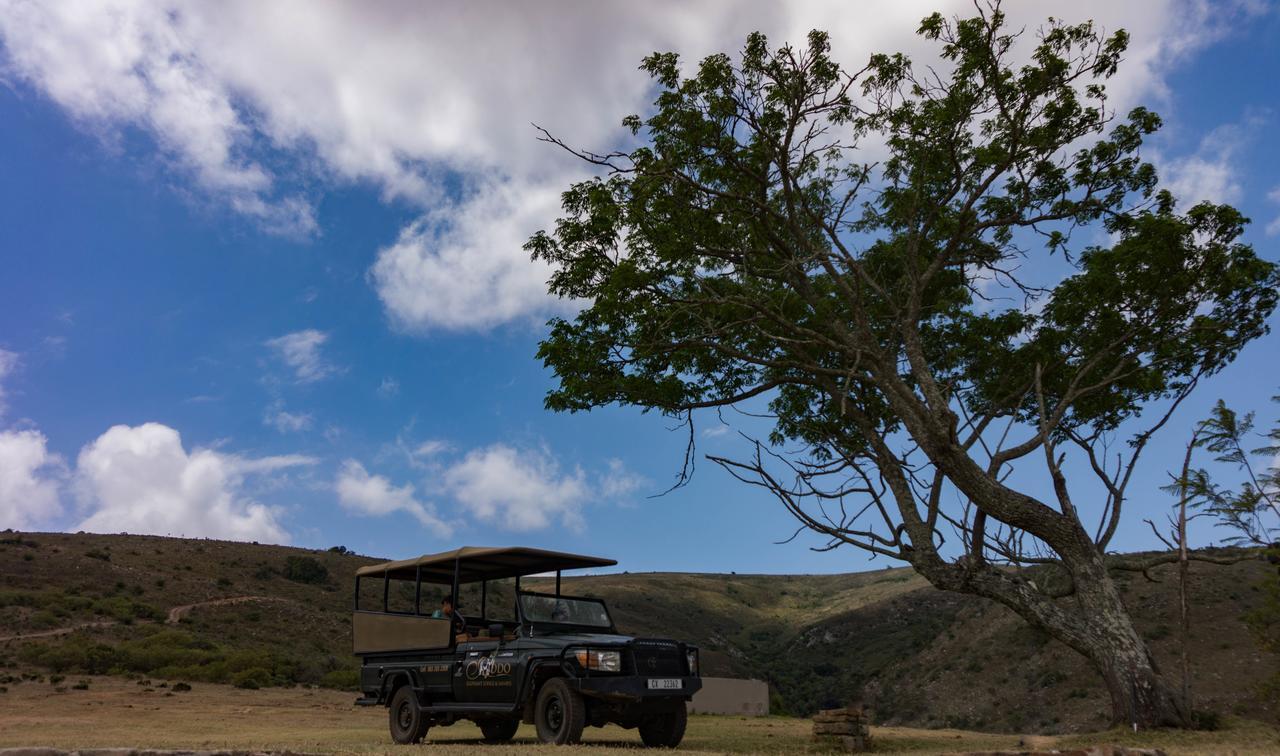 Addo Elephant Lodge & Safaris Kirkwood Ngoại thất bức ảnh
