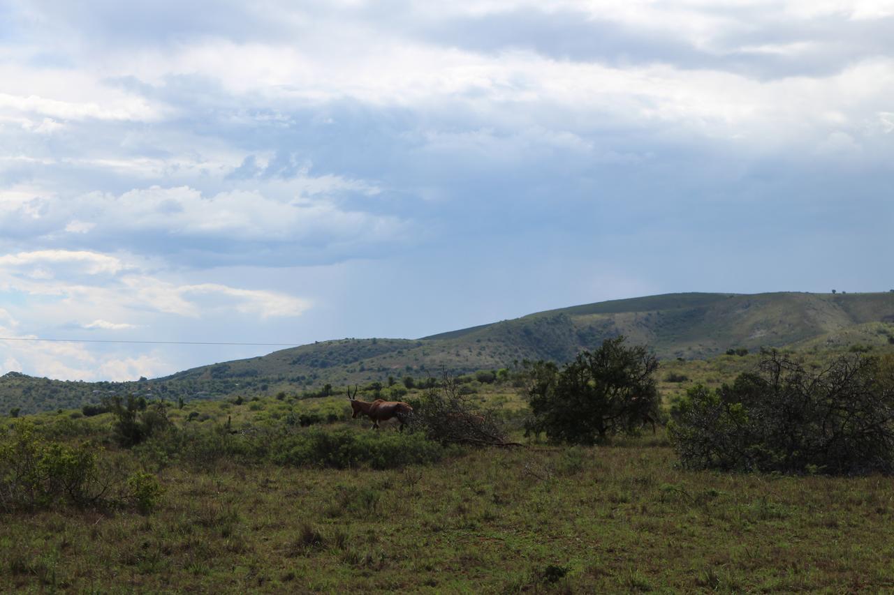 Addo Elephant Lodge & Safaris Kirkwood Ngoại thất bức ảnh