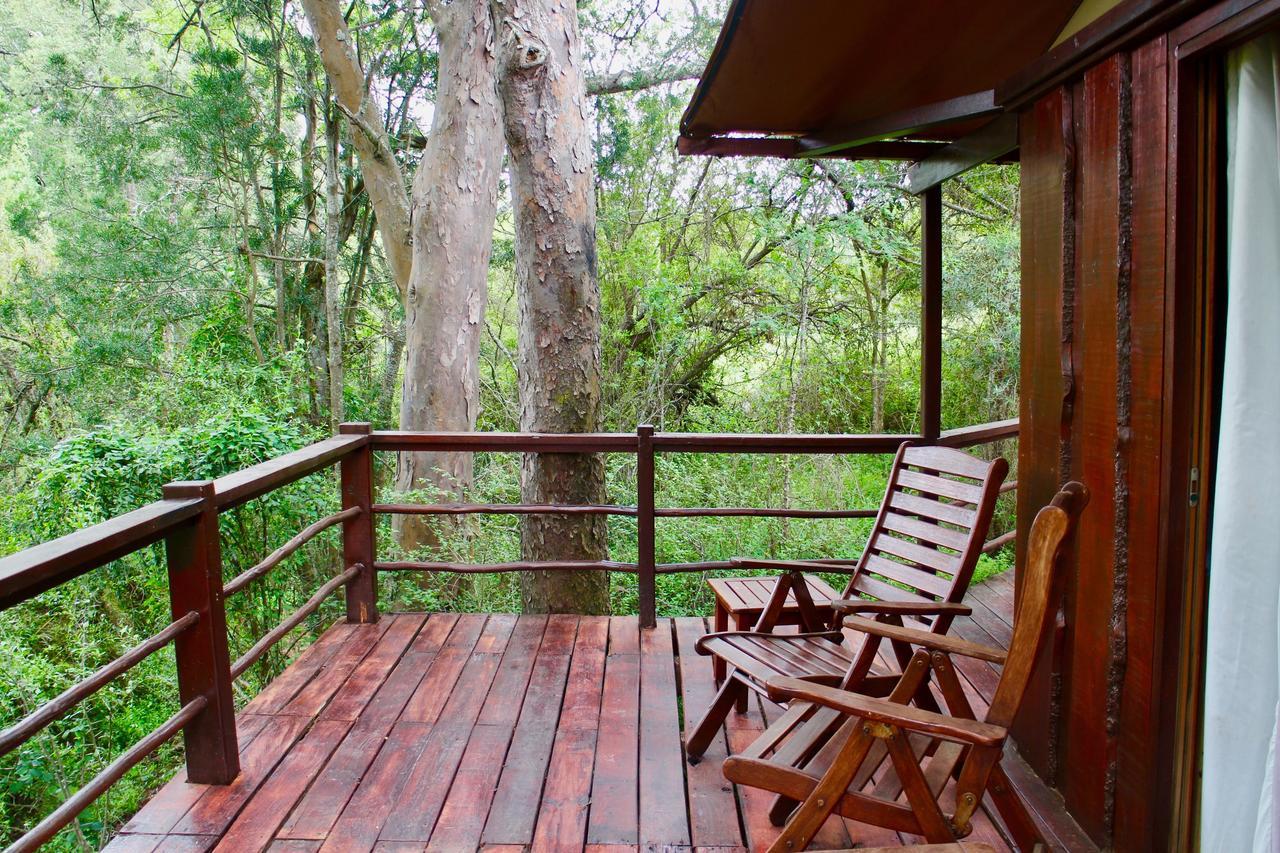 Addo Elephant Lodge & Safaris Kirkwood Ngoại thất bức ảnh