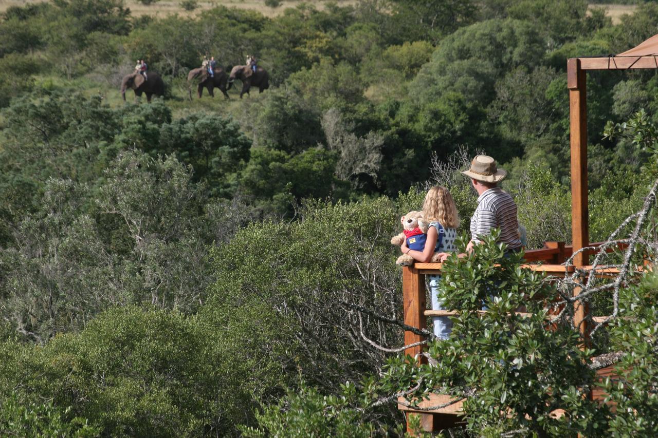 Addo Elephant Lodge & Safaris Kirkwood Ngoại thất bức ảnh