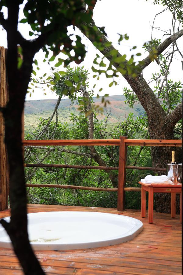 Addo Elephant Lodge & Safaris Kirkwood Ngoại thất bức ảnh